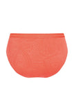 Panama Panty #71389